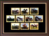 Collectors Cards-Horse Racing