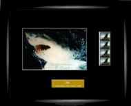 Jaws - Limited Edition Film Cell